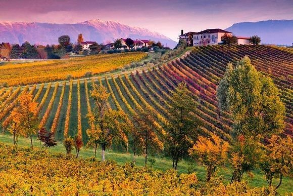  Winnita: un nuovo modo di prelevare in Italia